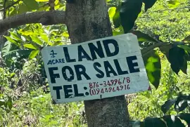Land for sale in St Mary